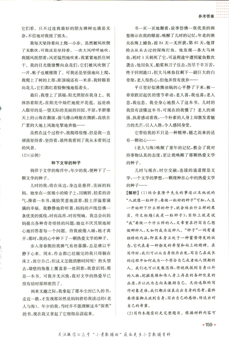 一本预备新初一语文_25秋《一本》系列_25版一本系列_一本预备新初一语数英25年