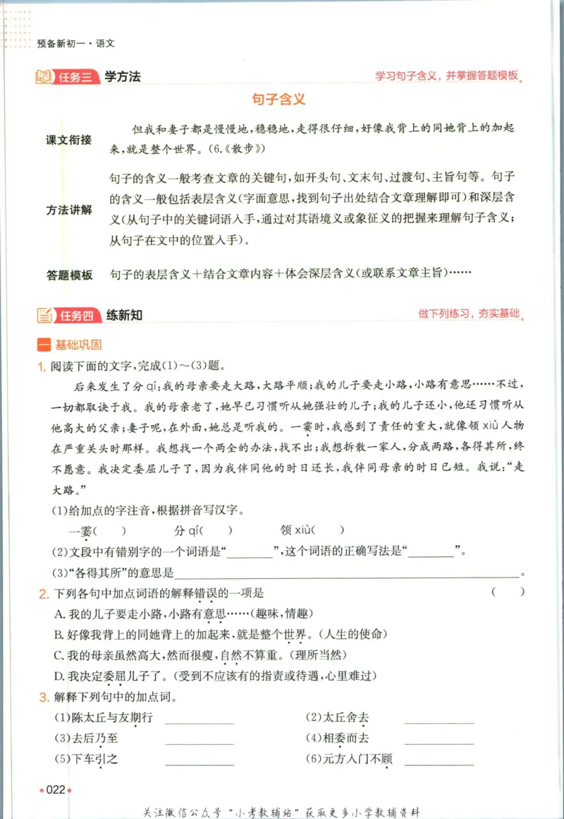 一本预备新初一语文_25秋《一本》系列_25版一本系列_一本预备新初一语数英25年