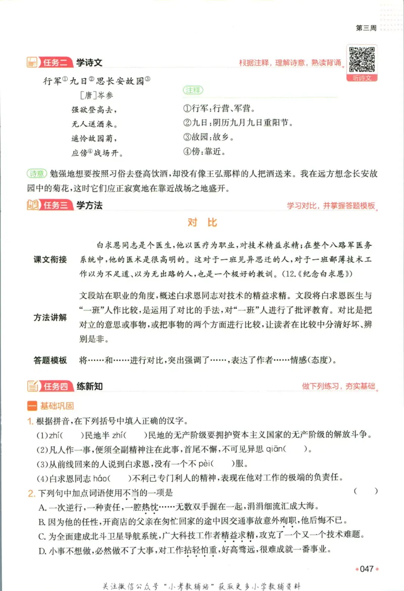 一本预备新初一语文_25秋《一本》系列_25版一本系列_一本预备新初一语数英25年