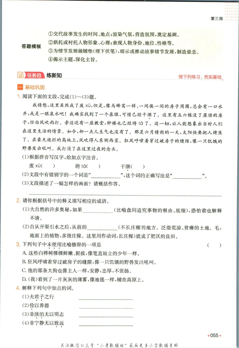 一本预备新初一语文_25秋《一本》系列_25版一本系列_一本预备新初一语数英25年