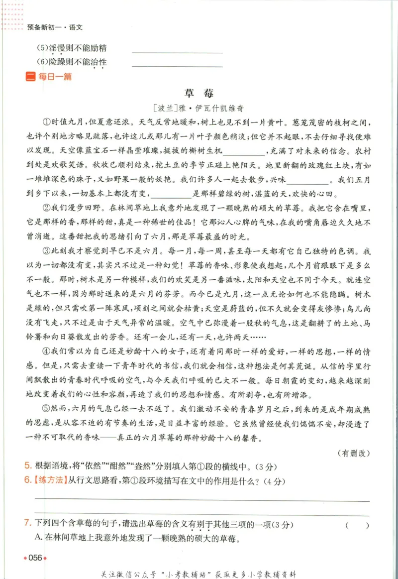 一本预备新初一语文_25秋《一本》系列_25版一本系列_一本预备新初一语数英25年