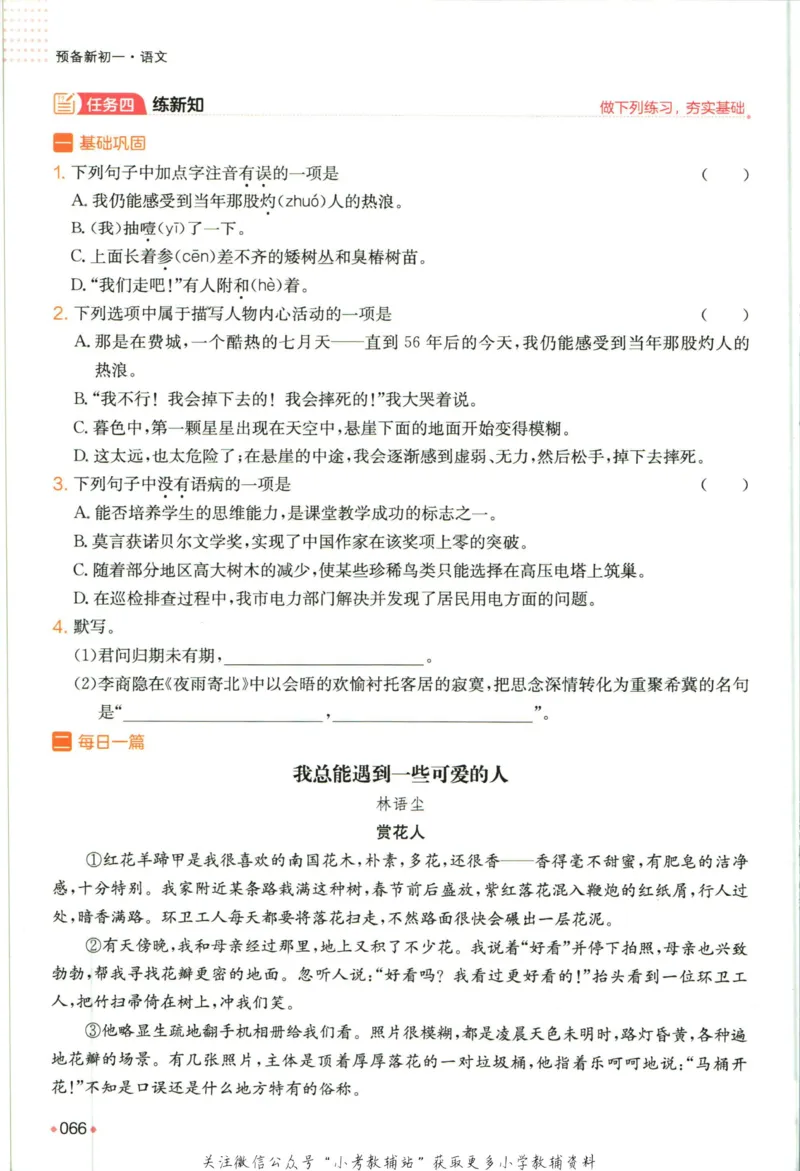 一本预备新初一语文_25秋《一本》系列_25版一本系列_一本预备新初一语数英25年