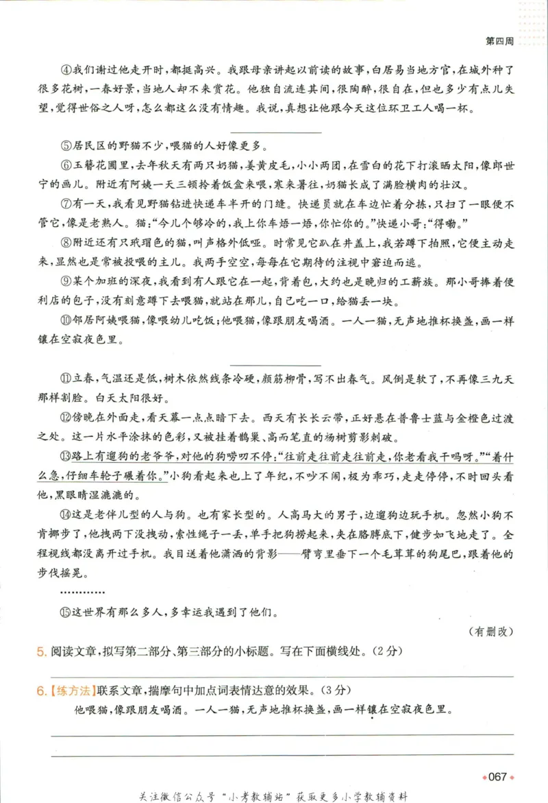 一本预备新初一语文_25秋《一本》系列_25版一本系列_一本预备新初一语数英25年