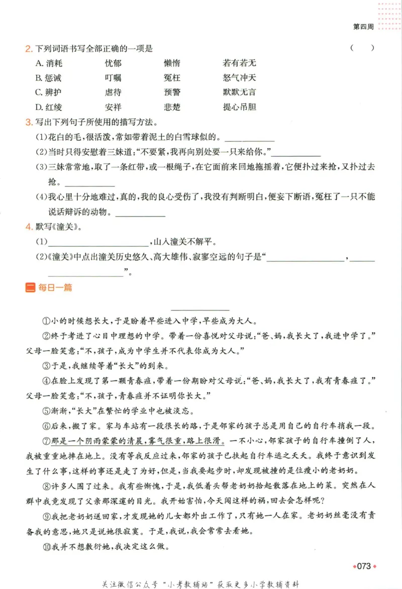 一本预备新初一语文_25秋《一本》系列_25版一本系列_一本预备新初一语数英25年