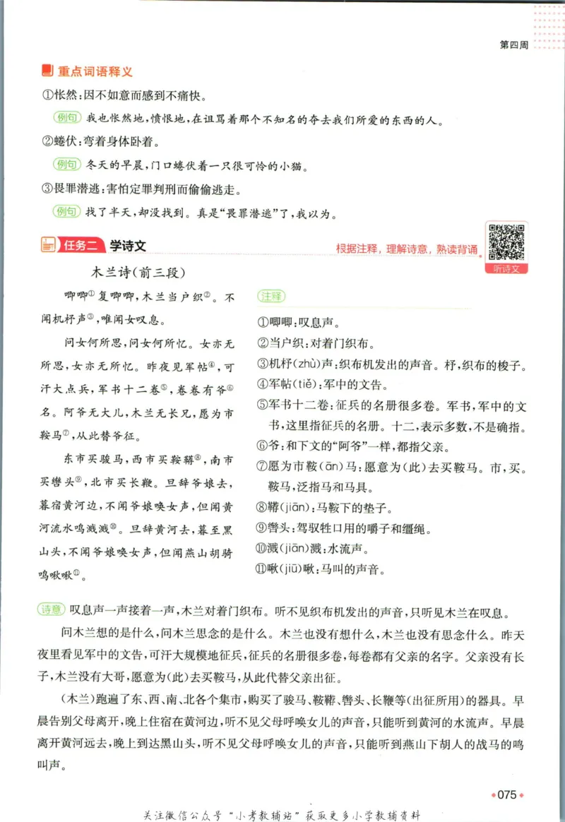 一本预备新初一语文_25秋《一本》系列_25版一本系列_一本预备新初一语数英25年