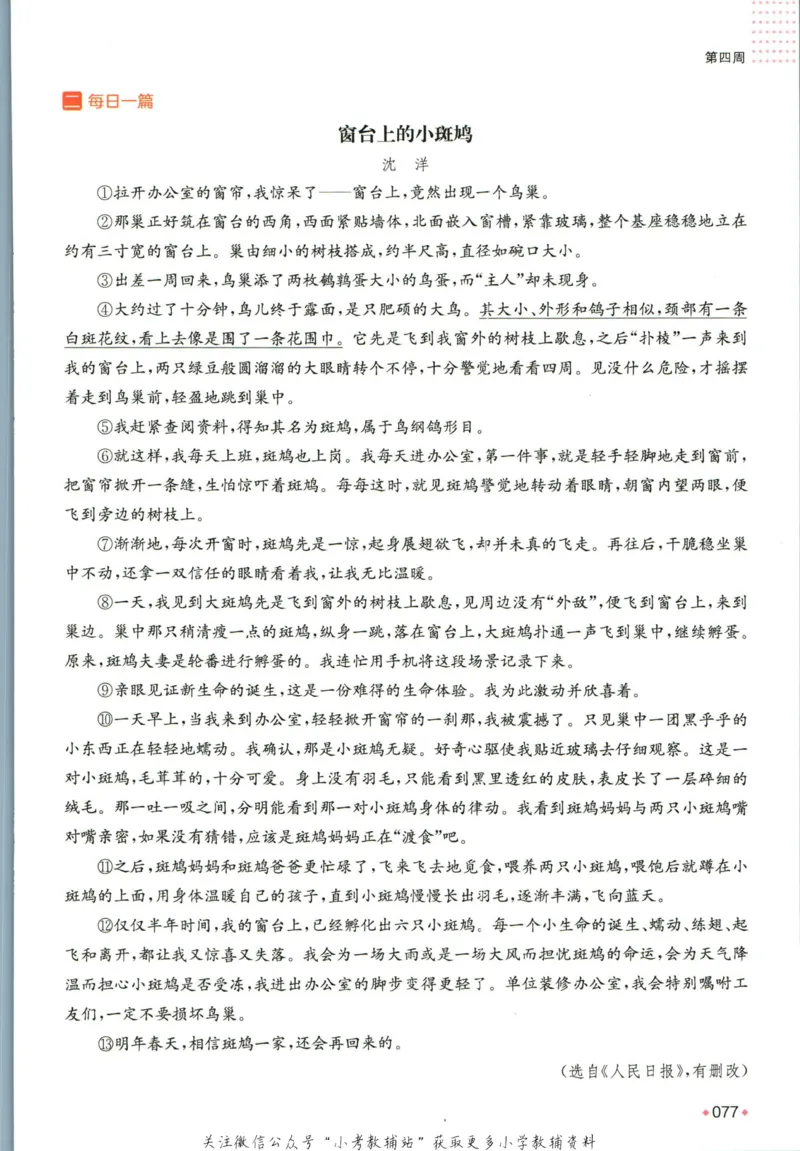 一本预备新初一语文_25秋《一本》系列_25版一本系列_一本预备新初一语数英25年