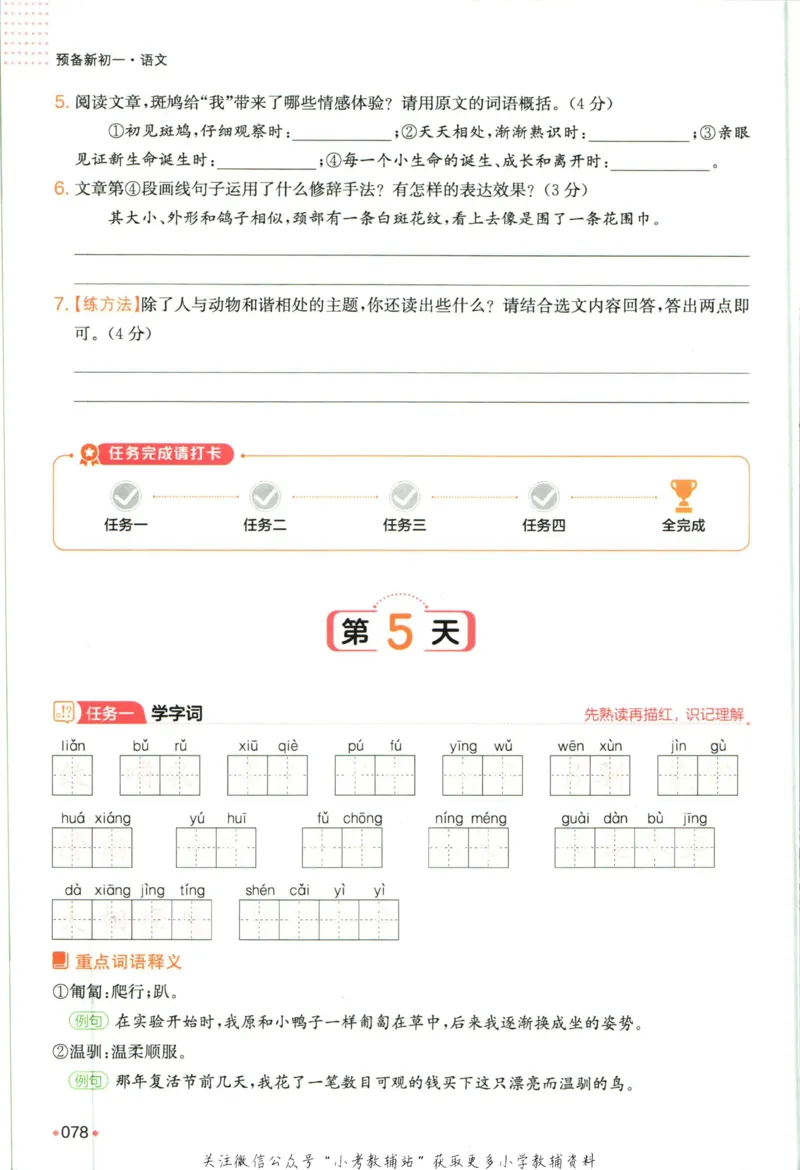 一本预备新初一语文_25秋《一本》系列_25版一本系列_一本预备新初一语数英25年