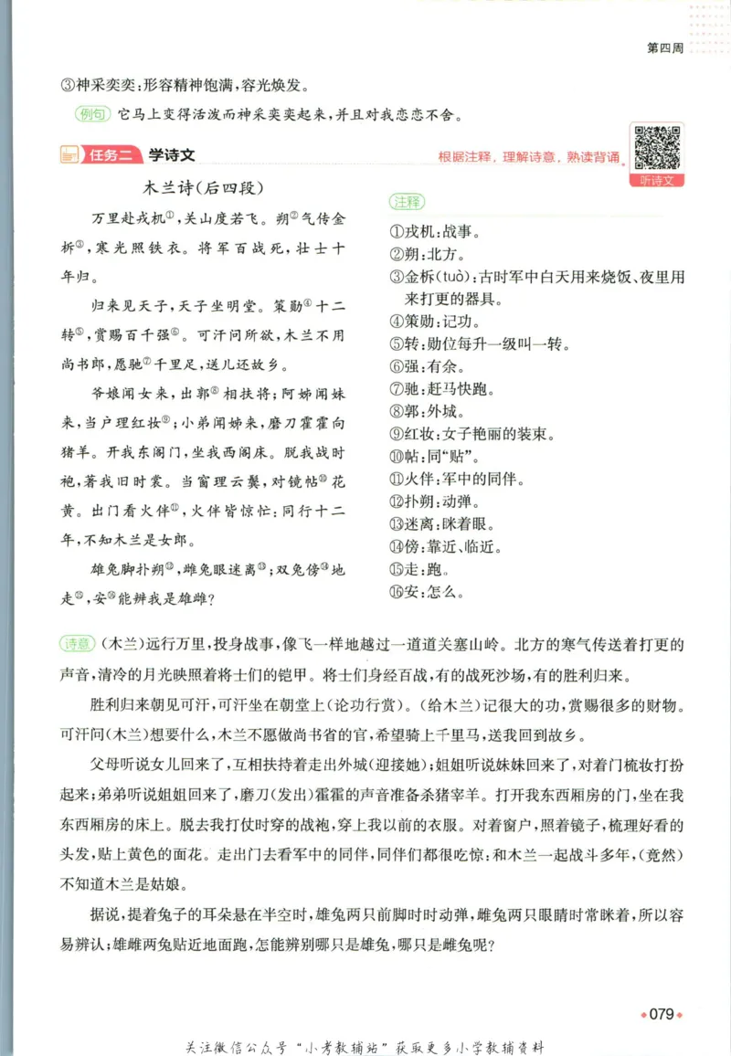 一本预备新初一语文_25秋《一本》系列_25版一本系列_一本预备新初一语数英25年