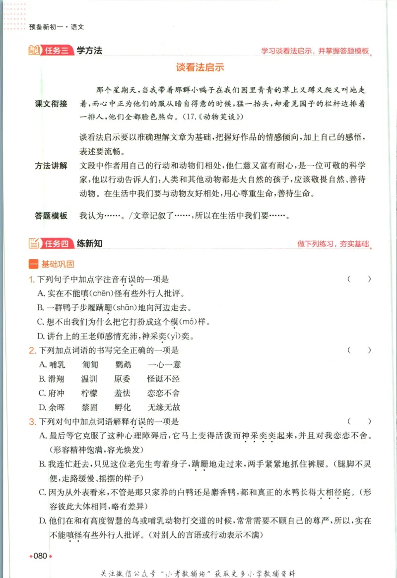 一本预备新初一语文_25秋《一本》系列_25版一本系列_一本预备新初一语数英25年