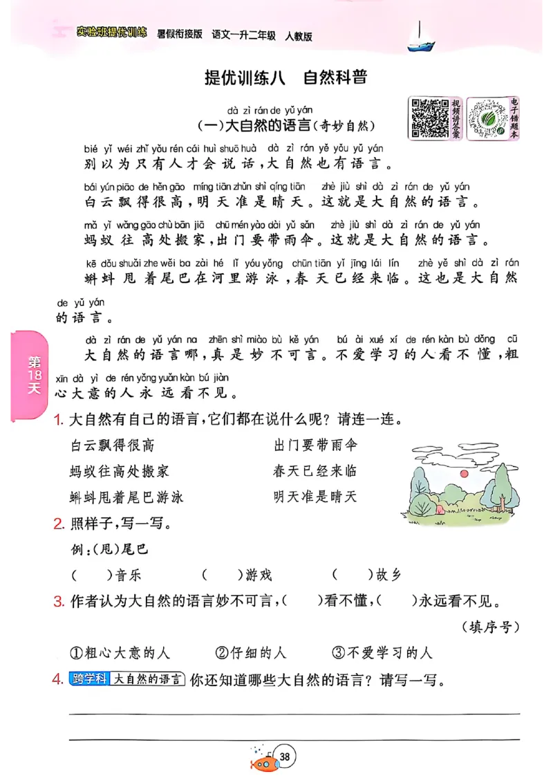 25版语文实验班提优训练暑假衔接一升二_25秋《实验班》系列_25版实验班语数英人教北师大苏教译林《暑假衔接》_实验班暑假衔接语文25年
