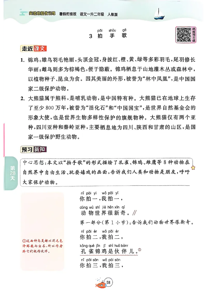 25版语文实验班提优训练暑假衔接一升二_25秋《实验班》系列_25版实验班语数英人教北师大苏教译林《暑假衔接》_实验班暑假衔接语文25年