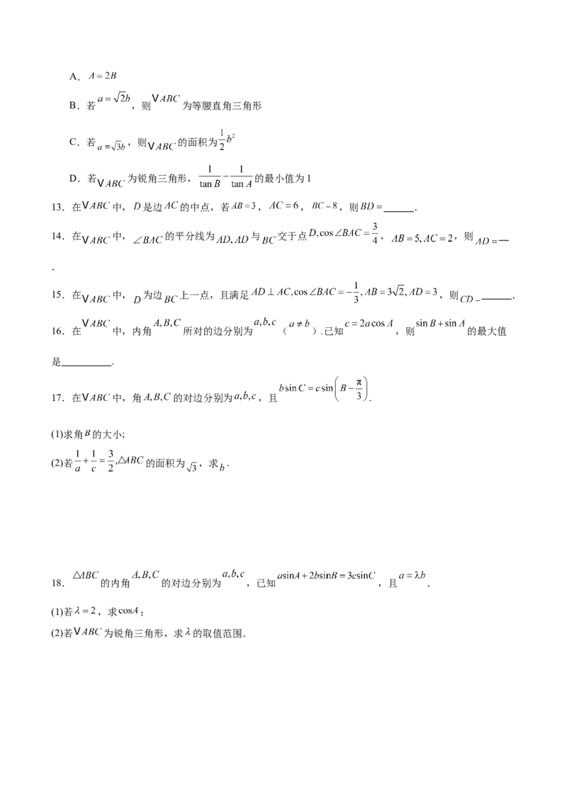 专题10正余弦定理在解三角形中的高级灵活应用与最值问题（练习）（原卷版）_02高考数学_2025年新高考资料_二轮复习_上好课2025年高考数学二轮复习讲练测（新高考通用）3379306