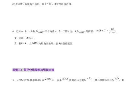 专题10正余弦定理在解三角形中的高级灵活应用与最值问题（练习）（原卷版）_02高考数学_2025年新高考资料_二轮复习_上好课2025年高考数学二轮复习讲练测（新高考通用）3379306