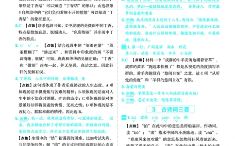 25秋典中点六年级语文上（R版）答案_25秋《典中点》系列_25秋1-6年级语文上册《典中点》（抢先版）