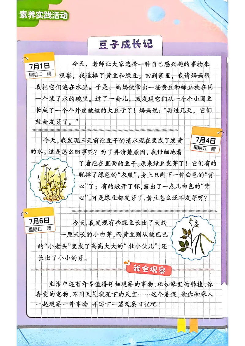 25年《实验班提优训练暑假衔接》语文2升3_25秋《实验班》系列_25版实验班语数英人教北师大苏教译林《暑假衔接》_实验班暑假衔接语文25年