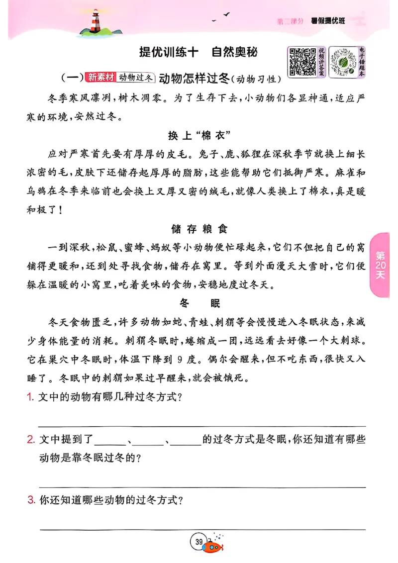 25年《实验班提优训练暑假衔接》语文2升3_25秋《实验班》系列_25版实验班语数英人教北师大苏教译林《暑假衔接》_实验班暑假衔接语文25年