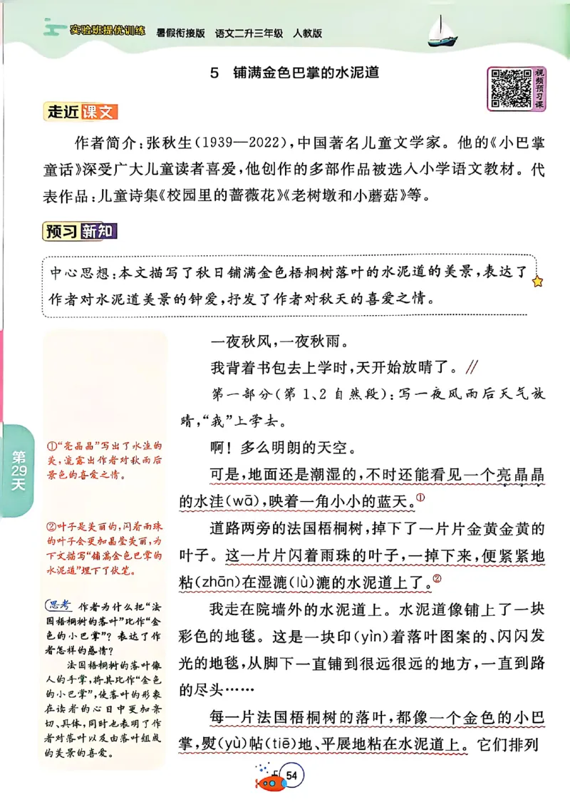 25年《实验班提优训练暑假衔接》语文2升3_25秋《实验班》系列_25版实验班语数英人教北师大苏教译林《暑假衔接》_实验班暑假衔接语文25年