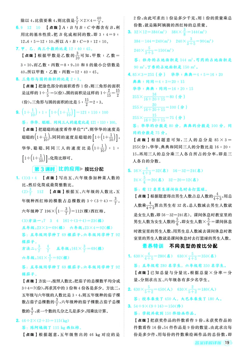 25秋典中点六年级数学上（R版）答案_25秋《典中点》系列_1-6年级数学上册各版本《典中点》（抢先版）_25秋1-6年级数学上册人教版《典中点》（抢先版）