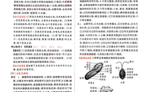 2025秋《一本&bull;初升高预备新高一》生物解析册_25秋《一本》系列_25版一本系列_一本预备新高一语数英物化生25年