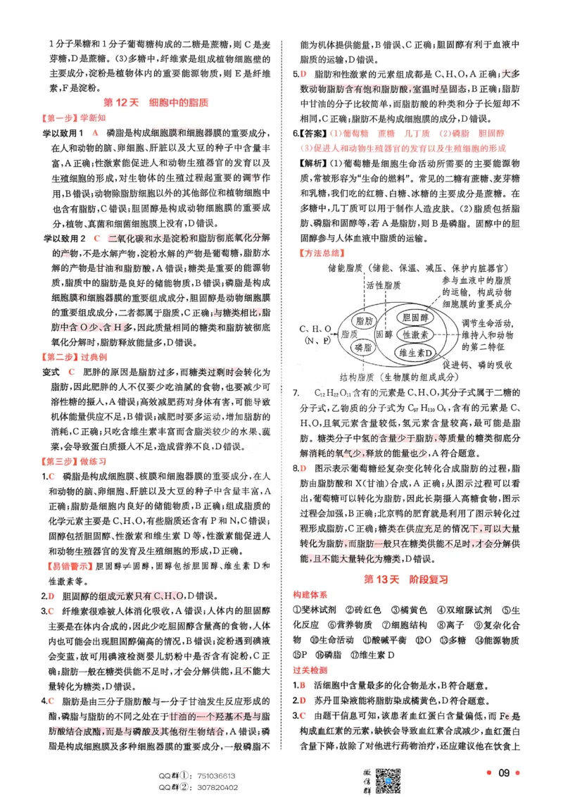 2025秋《一本&bull;初升高预备新高一》生物解析册_25秋《一本》系列_25版一本系列_一本预备新高一语数英物化生25年