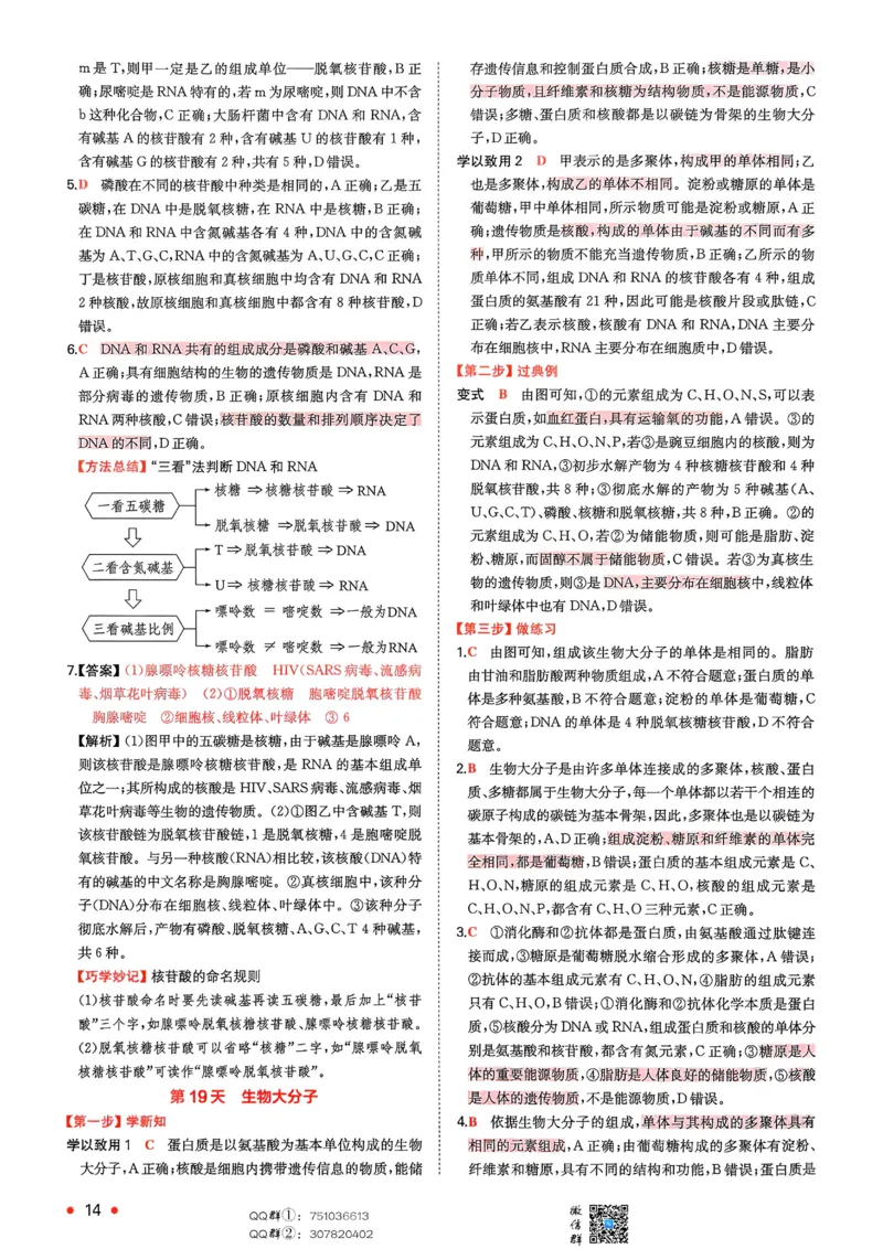 2025秋《一本&bull;初升高预备新高一》生物解析册_25秋《一本》系列_25版一本系列_一本预备新高一语数英物化生25年