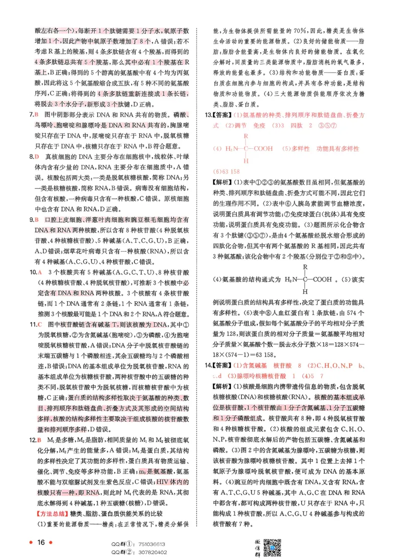 2025秋《一本&bull;初升高预备新高一》生物解析册_25秋《一本》系列_25版一本系列_一本预备新高一语数英物化生25年