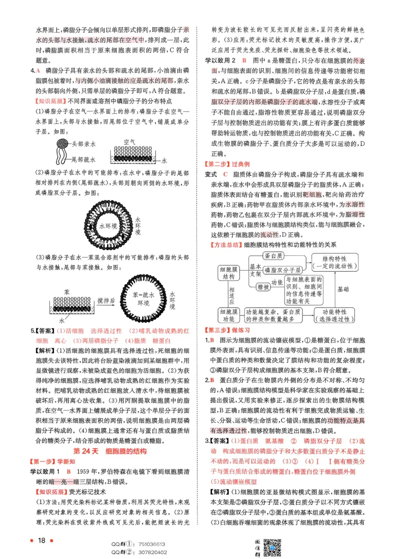 2025秋《一本&bull;初升高预备新高一》生物解析册_25秋《一本》系列_25版一本系列_一本预备新高一语数英物化生25年