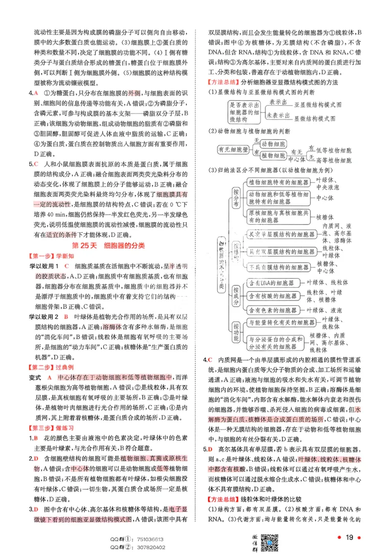 2025秋《一本&bull;初升高预备新高一》生物解析册_25秋《一本》系列_25版一本系列_一本预备新高一语数英物化生25年