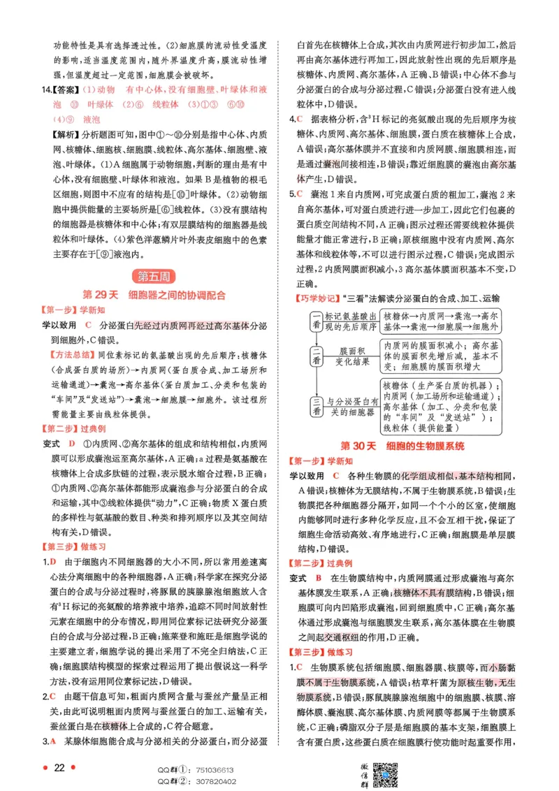 2025秋《一本&bull;初升高预备新高一》生物解析册_25秋《一本》系列_25版一本系列_一本预备新高一语数英物化生25年