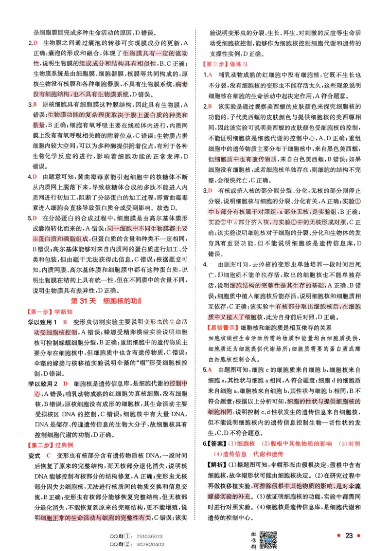 2025秋《一本&bull;初升高预备新高一》生物解析册_25秋《一本》系列_25版一本系列_一本预备新高一语数英物化生25年