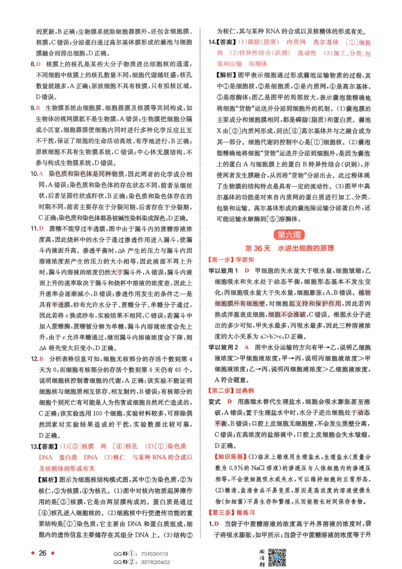 2025秋《一本&bull;初升高预备新高一》生物解析册_25秋《一本》系列_25版一本系列_一本预备新高一语数英物化生25年