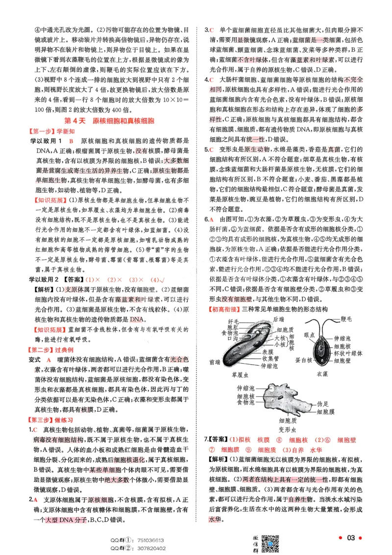 2025秋《一本&bull;初升高预备新高一》生物解析册_25秋《一本》系列_25版一本系列_一本预备新高一语数英物化生25年