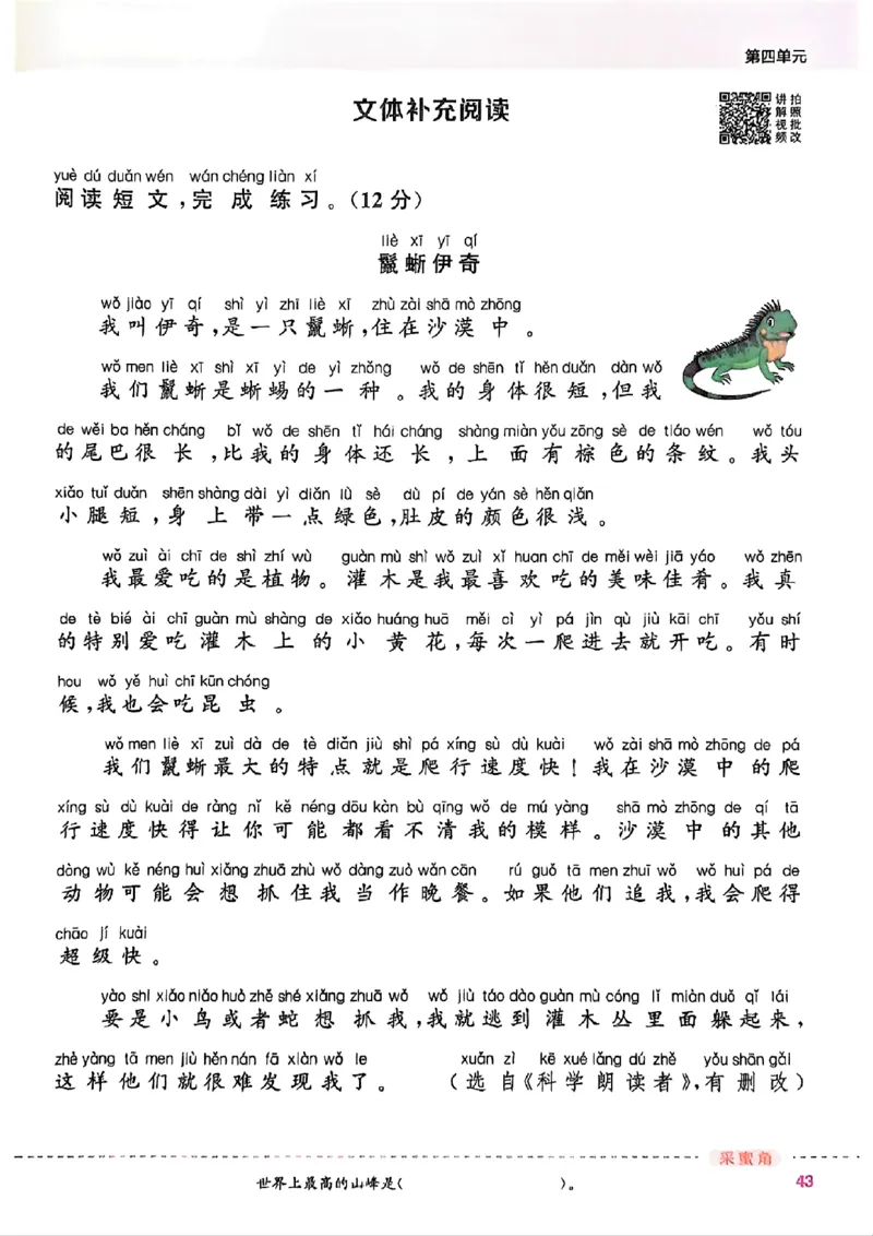 一年级语文人教版上册25秋《拔尖特训》_25秋《拔尖特训》小学语数英各版本_1-6年级语文人教版上册25秋《拔尖特训》_一年级语文人教版上册25秋《拔尖特训》