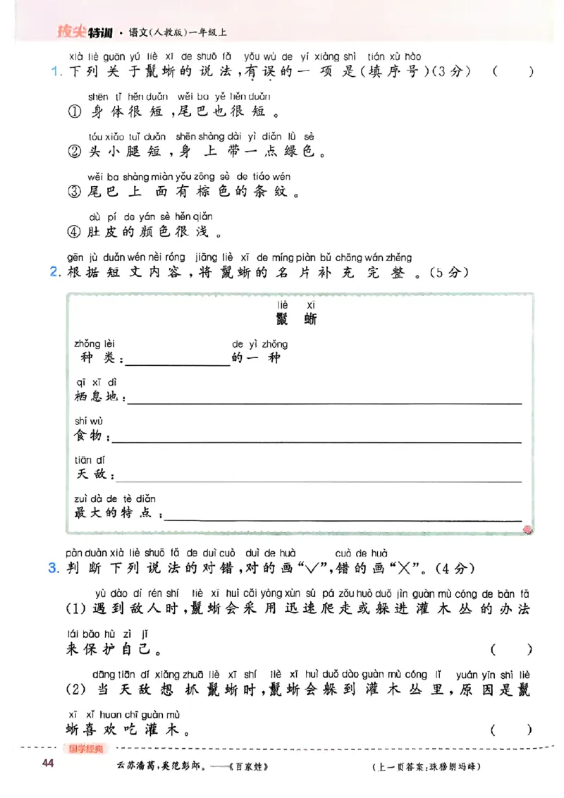 一年级语文人教版上册25秋《拔尖特训》_25秋《拔尖特训》小学语数英各版本_1-6年级语文人教版上册25秋《拔尖特训》_一年级语文人教版上册25秋《拔尖特训》