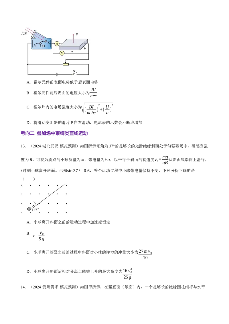专题11带电粒子在复合场中的运动（讲义）（原卷版）_03高考英语_2025年新高考资料_二轮复习_01高考语文等多个文件_上好课2025年高考物理二轮复习讲练测（新高考通用）