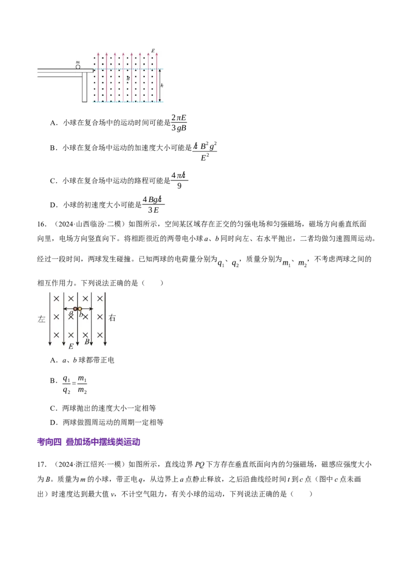 专题11带电粒子在复合场中的运动（讲义）（原卷版）_03高考英语_2025年新高考资料_二轮复习_01高考语文等多个文件_上好课2025年高考物理二轮复习讲练测（新高考通用）