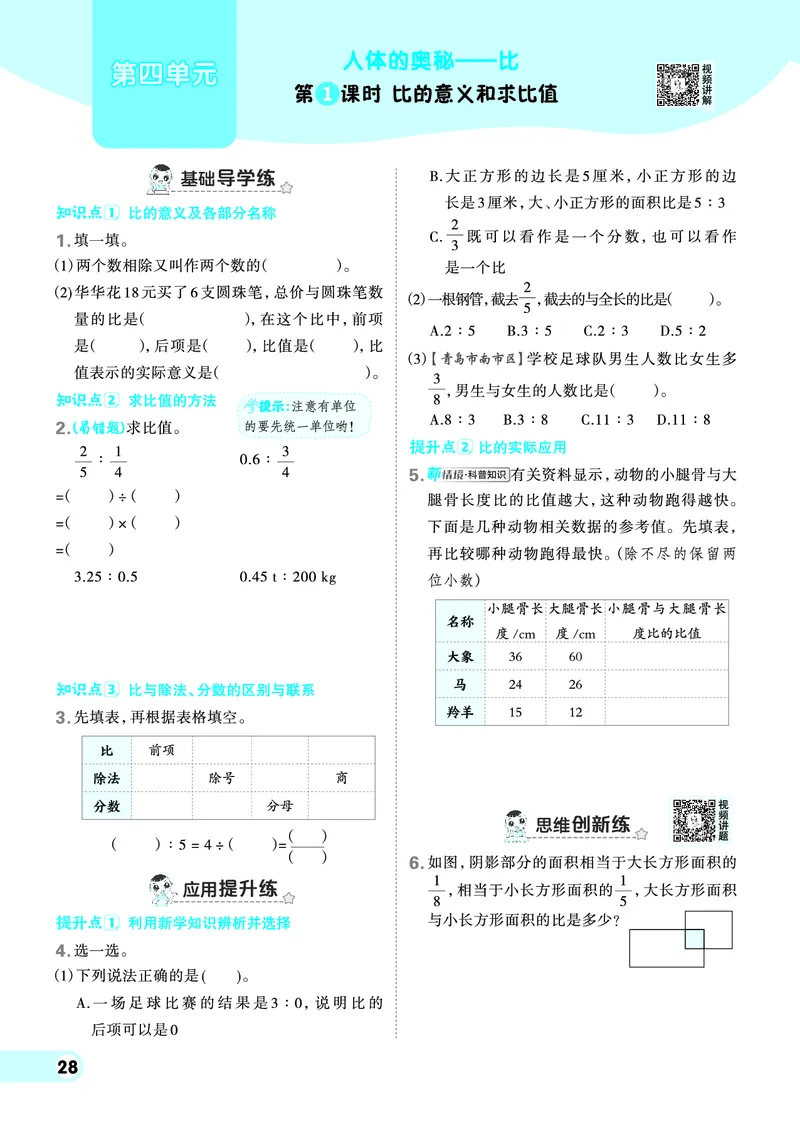 25秋典中点六年级数学上（QD版）_25秋《典中点》系列_1-6年级数学上册各版本《典中点》（抢先版）_25秋1-6年级数学上册青岛63制《典中点》（抢先版）