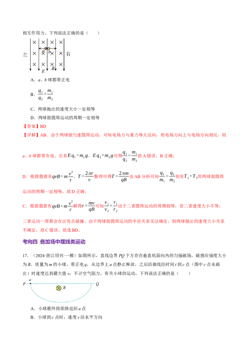 专题11带电粒子在复合场中的运动（讲义）（解析版）_03高考英语_2025年新高考资料_二轮复习_01高考语文等多个文件_上好课2025年高考物理二轮复习讲练测（新高考通用）
