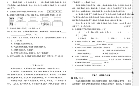 25秋典中点三年级语文上（R版）测试卷_25秋《典中点》系列_25秋1-6年级语文上册《典中点》（抢先版）