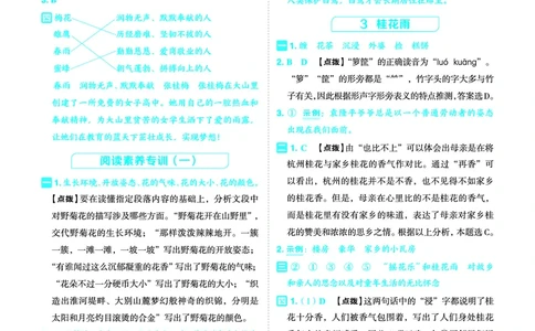 25秋典中点五年级语文上（R版）答案_25秋《典中点》系列_25秋1-6年级语文上册《典中点》（抢先版）