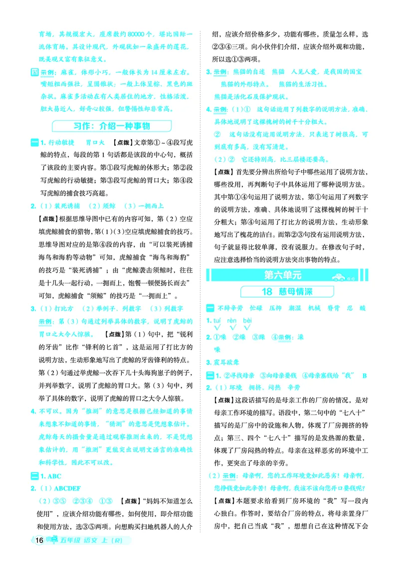 25秋典中点五年级语文上（R版）答案_25秋《典中点》系列_25秋1-6年级语文上册《典中点》（抢先版）