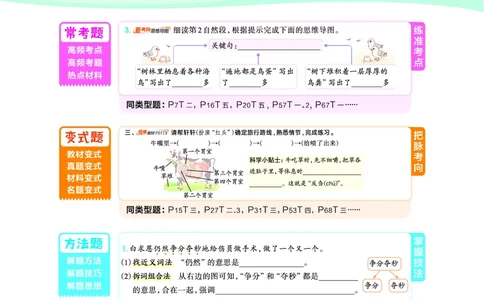 25秋典中点三年级语文上（R版）_25秋《典中点》系列_25秋1-6年级语文上册《典中点》（抢先版）