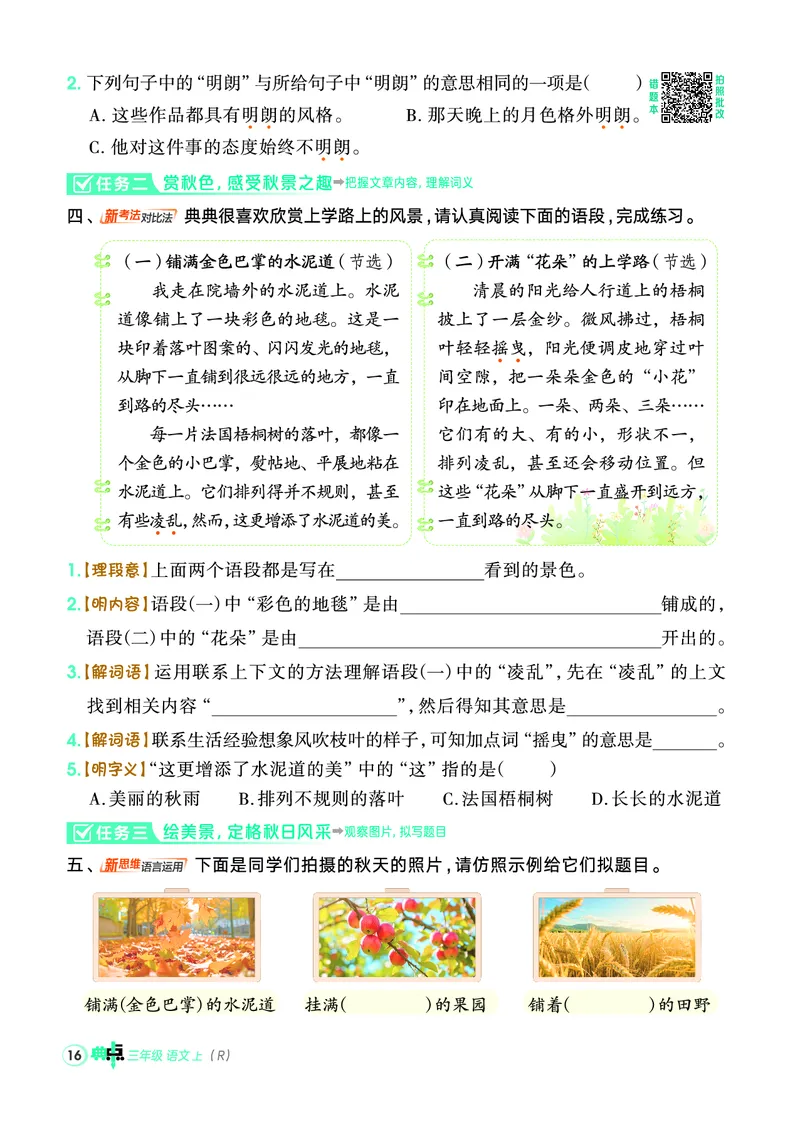 25秋典中点三年级语文上（R版）_25秋《典中点》系列_25秋1-6年级语文上册《典中点》（抢先版）