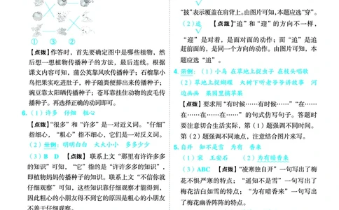 25秋典中点二年级语文上（R版）答案_25秋《典中点》系列_25秋1-6年级语文上册《典中点》（抢先版）