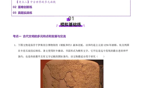专题09多元共生&mdash;古代世界文明的多样性与区域扩展（练习）（解析版）_07高考历史_2025年新高考资料_二轮复习_01高考语文等多个文件