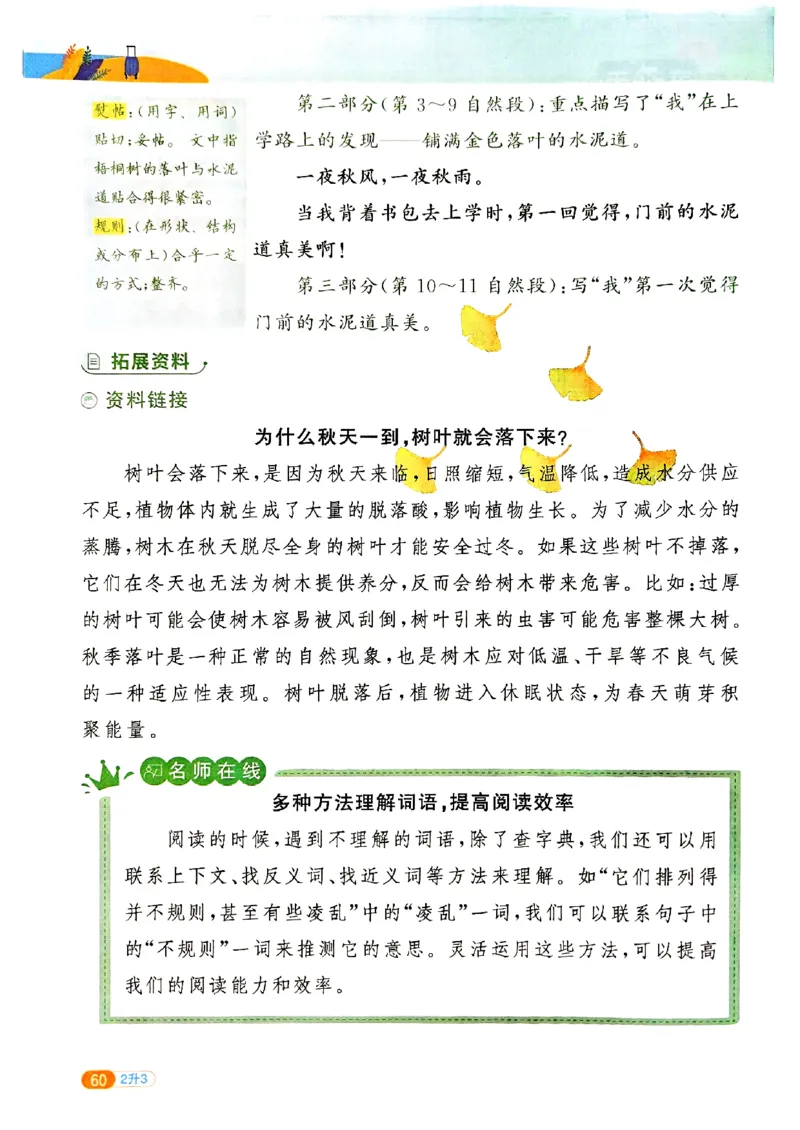 25版《阳光同学暑假衔接》语文2升3-副本_25秋《阳光同学》系列_25年1-6年级语文《阳光同学语文暑假衔接》_2升3