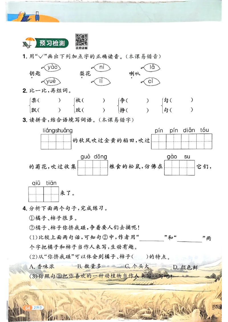 25版《阳光同学暑假衔接》语文2升3-副本_25秋《阳光同学》系列_25年1-6年级语文《阳光同学语文暑假衔接》_2升3