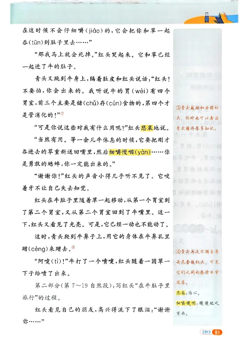 25版《阳光同学暑假衔接》语文2升3-副本_25秋《阳光同学》系列_25年1-6年级语文《阳光同学语文暑假衔接》_2升3