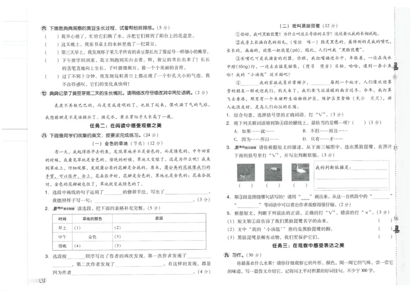 25秋语文三上典中点赠品卷子R_25秋《典中点》系列_25秋1-6年级语文上册《典中点》（抢先版）_典中点语文完整版25年上册23_25秋三年级上册语文《典中点》完整版