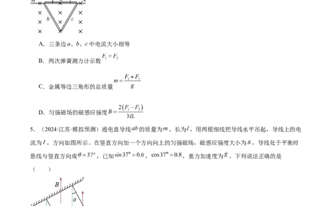专题10磁场带电粒子在磁场中的运动（练习）（原卷版）_03高考英语_2025年新高考资料_二轮复习_01高考语文等多个文件_上好课2025年高考物理二轮复习讲练测（新高考通用）